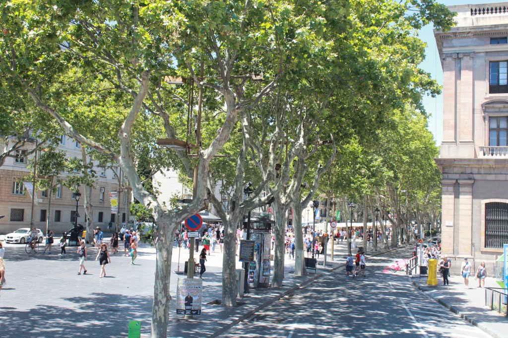 5 things not to worry about when&nbsp;travelling