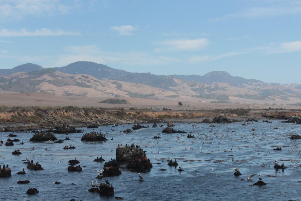 7 things to do in California,&nbsp;USA